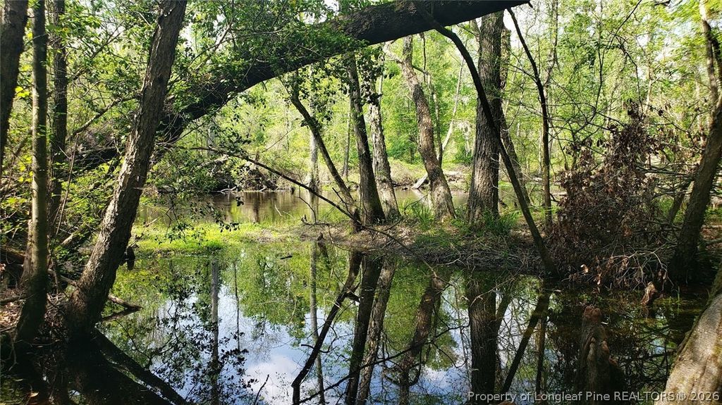 52 Acres River Access, Lumberton, NC 28360 — photo 10