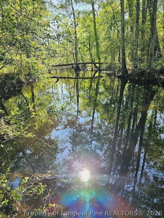 52 Acres River Access, Lumberton, NC 28360 — photo 11