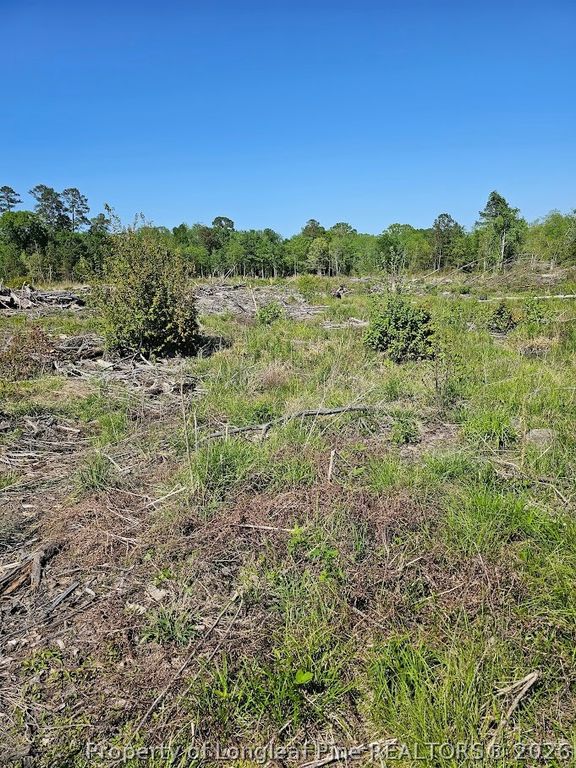 52 Acres River Access, Lumberton, NC 28360 — photo 14