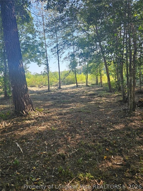 52 Acres River Access, Lumberton, NC 28360 — photo 16