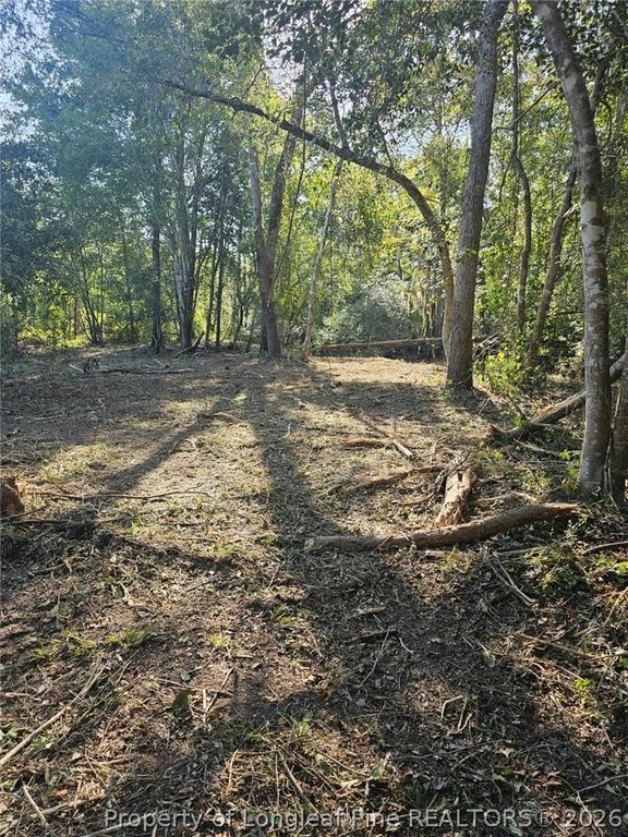 52 Acres River Access, Lumberton, NC 28360 — photo 17