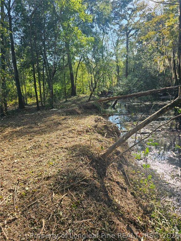 52 Acres River Access, Lumberton, NC 28360 — photo 18