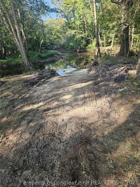 52 Acres River Access, Lumberton, NC 28360 — photo 19