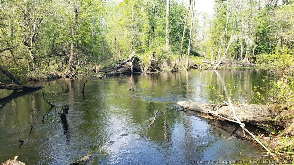52 Acres River Access, Lumberton, NC 28360 — photo 6