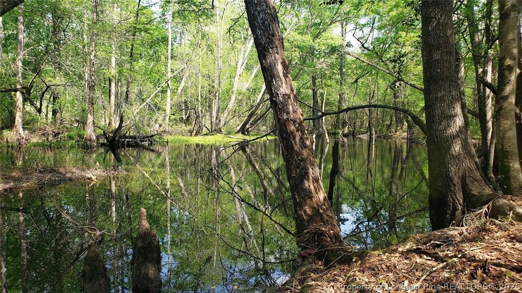 52 Acres River Access, Lumberton, NC 28360 — photo 7