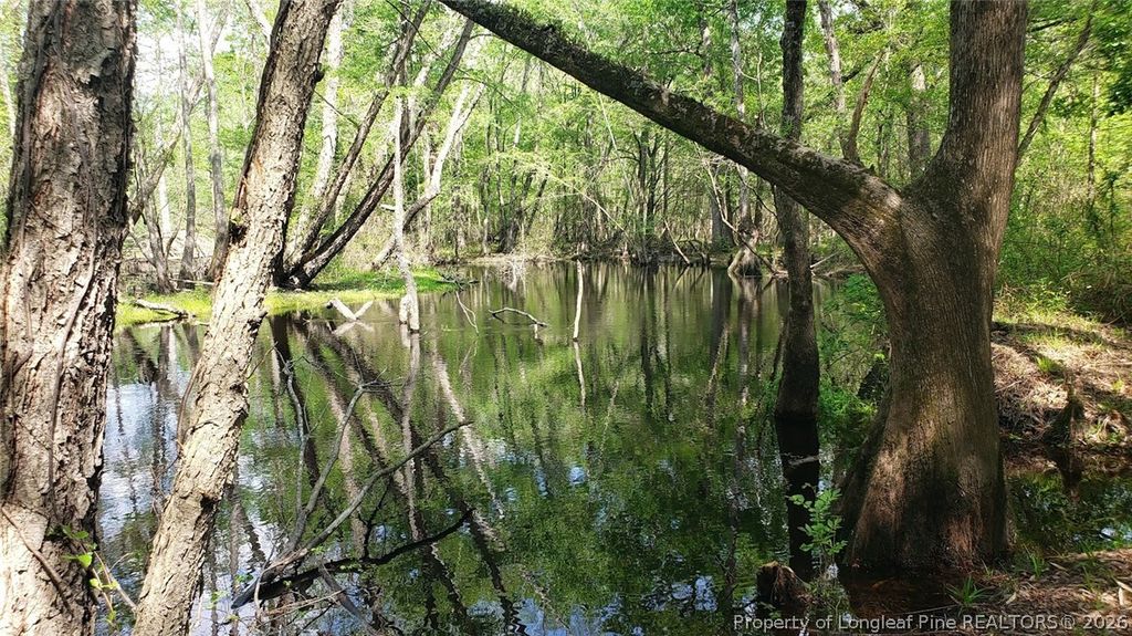 52 Acres River Access, Lumberton, NC 28360 — photo 8