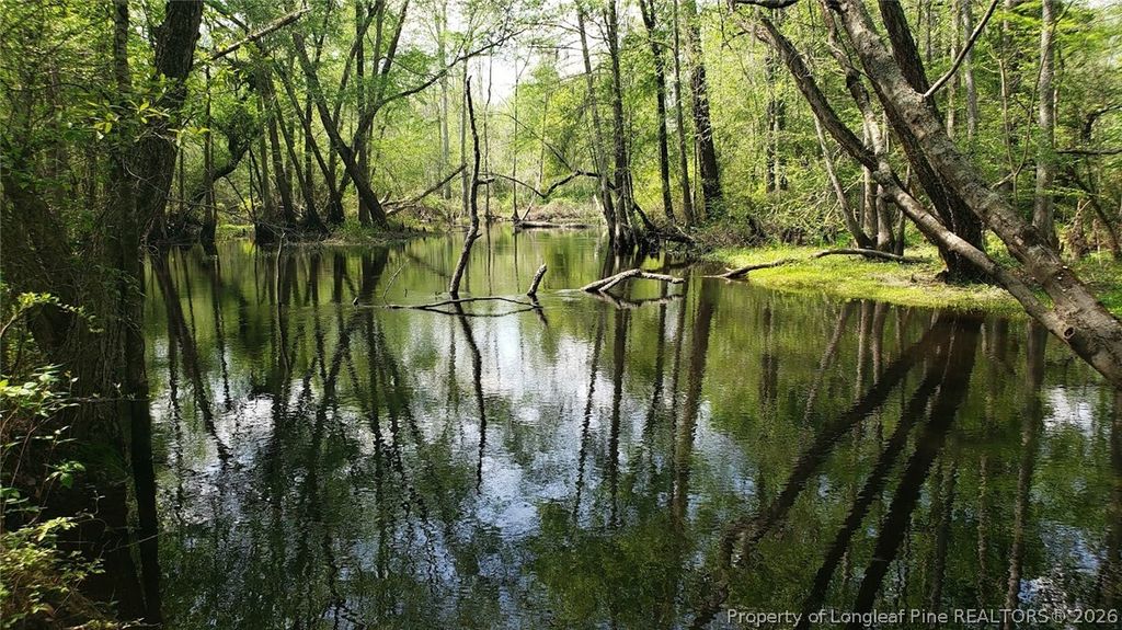 52 Acres River Access, Lumberton, NC 28360 — photo 9