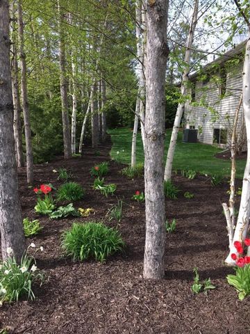 429 S PINE GROVE LANE, Hortonville, WI 54944