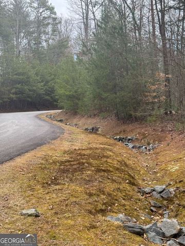 LOT 16R Leatherwood Mountain Road, Cherry Log, GA 30522