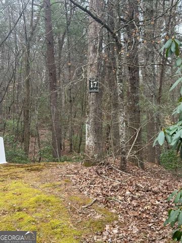 LOT 16R Leatherwood Mountain Road, Cherry Log, GA 30522