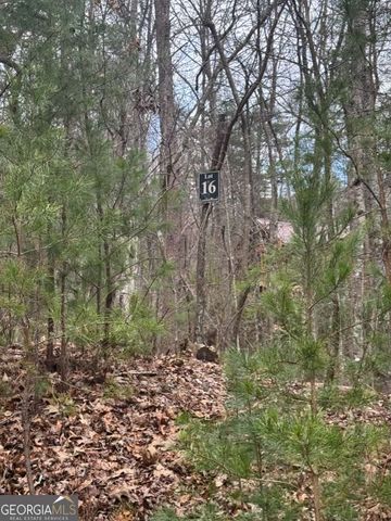 LOT 16R Leatherwood Mountain Road, Cherry Log, GA 30522