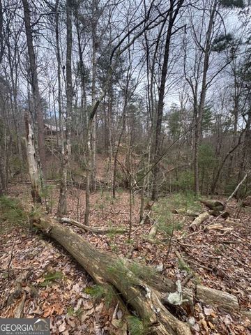 LOT 16R Leatherwood Mountain Road, Cherry Log, GA 30522