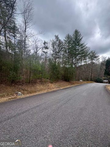 LOT 16R Leatherwood Mountain Road, Cherry Log, GA 30522