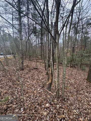 LOT 16R Leatherwood Mountain Road, Cherry Log, GA 30522
