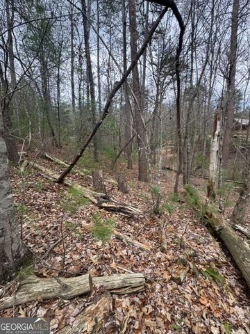 LOT 16R Leatherwood Mountain Road, Cherry Log, GA 30522