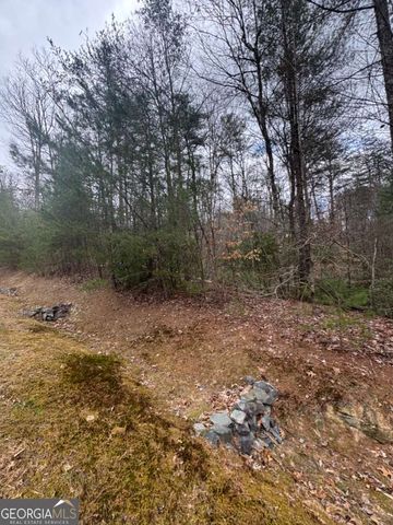 LOT 16R Leatherwood Mountain Road, Cherry Log, GA 30522