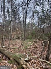 LOT 16R Leatherwood Mountain Road, Cherry Log, GA 30522