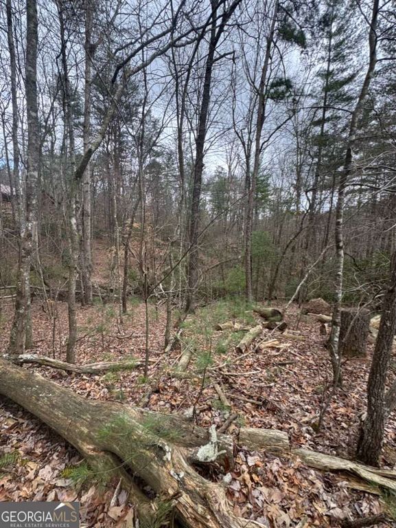 LOT 16R Leatherwood Mountain Road, Cherry Log, GA 30522