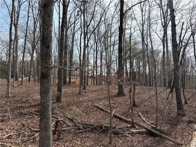 133 Falling Leaf Drive, Townville, SC 29689