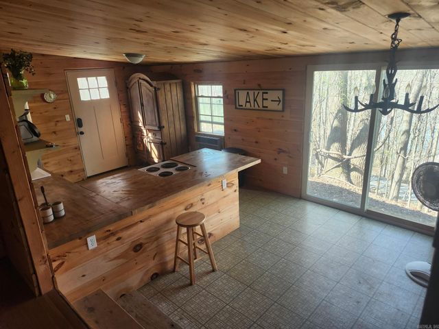 300 Canyon, Greers Ferry, AR 72067