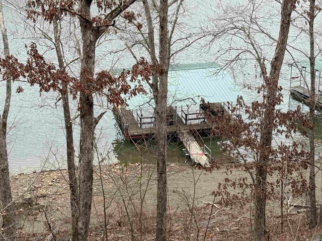 300 Canyon, Greers Ferry, AR 72067