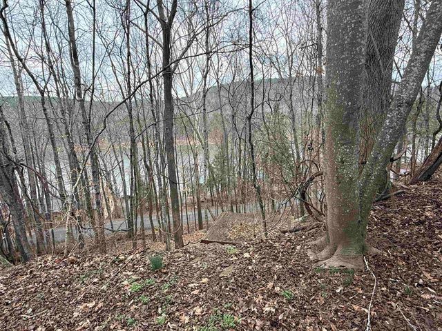 300 Canyon, Greers Ferry, AR 72067