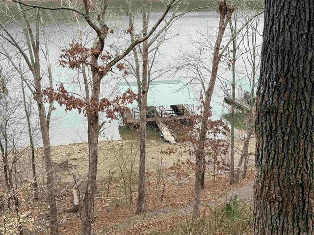 300 Canyon, Greers Ferry, AR 72067