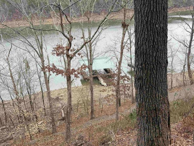 300 Canyon, Greers Ferry, AR 72067