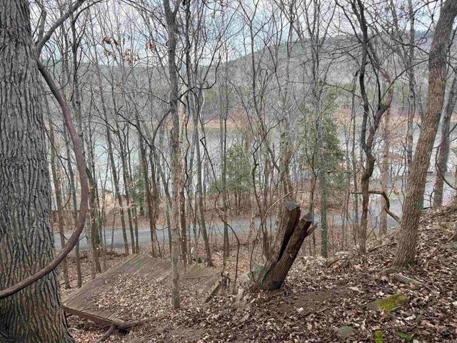 300 Canyon, Greers Ferry, AR 72067