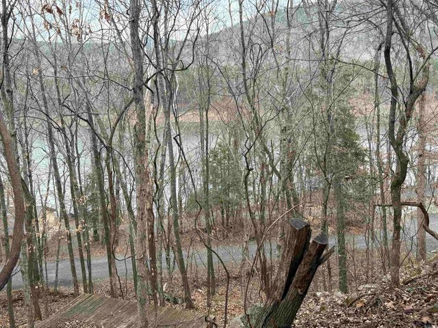 300 Canyon, Greers Ferry, AR 72067