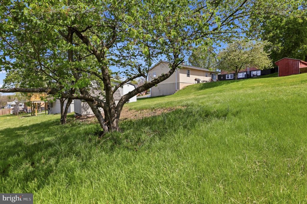 Image 36 of property listing at 302 E THOMAS ST, Union Bridge, MD 21791