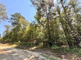 1273 County Road 3140, Colmesneil, TX 75938