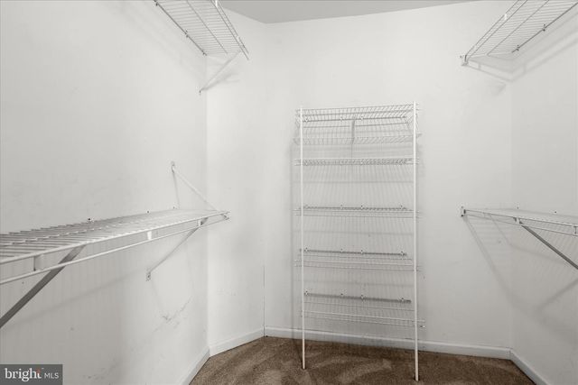 1203 KINGSBRIDGE TER, Mount Airy, MD 21771