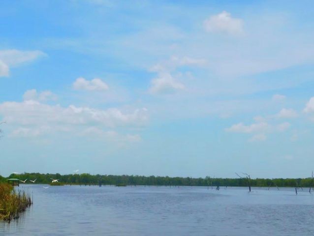 590 Longhorn Trail, Angleton, TX 77515