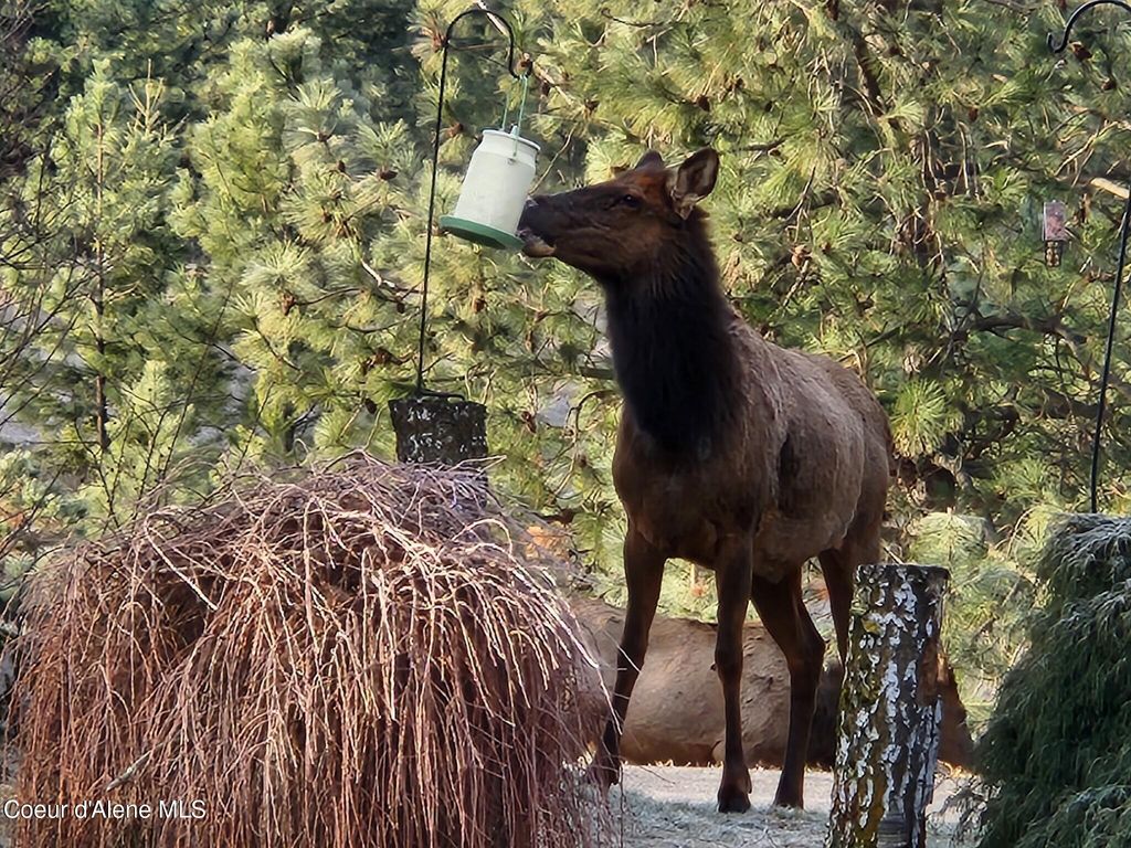 877 Heath Lake RD, Sagle, ID 83860 photo 16