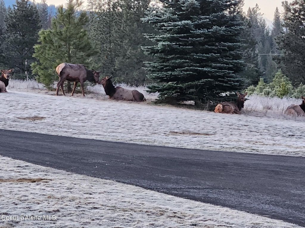 877 Heath Lake RD, Sagle, ID 83860 photo 17