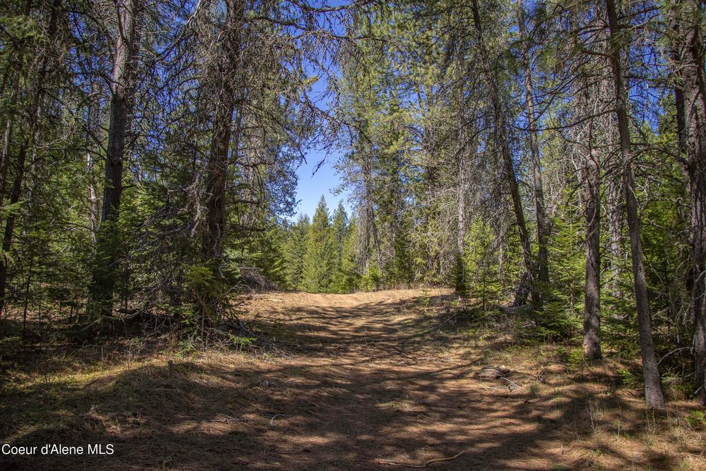 877 Heath Lake RD, Sagle, ID 83860 photo 52