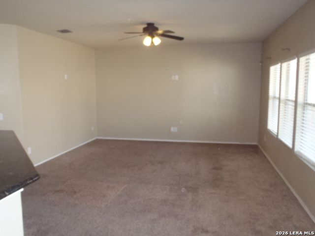 1938 Spotted Owl, New Braunfels, TX 78130