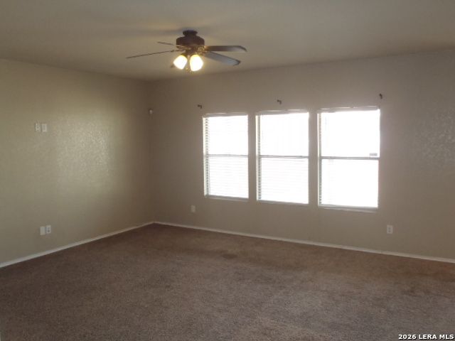 1938 Spotted Owl, New Braunfels, TX 78130