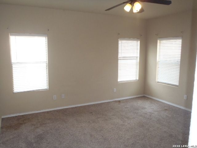 1938 Spotted Owl, New Braunfels, TX 78130