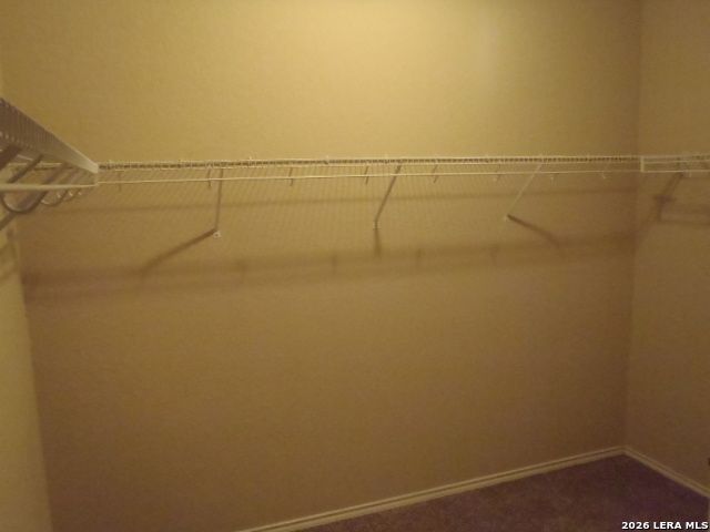 1938 Spotted Owl, New Braunfels, TX 78130