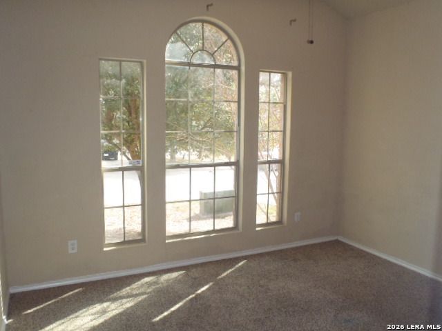 1938 Spotted Owl, New Braunfels, TX 78130