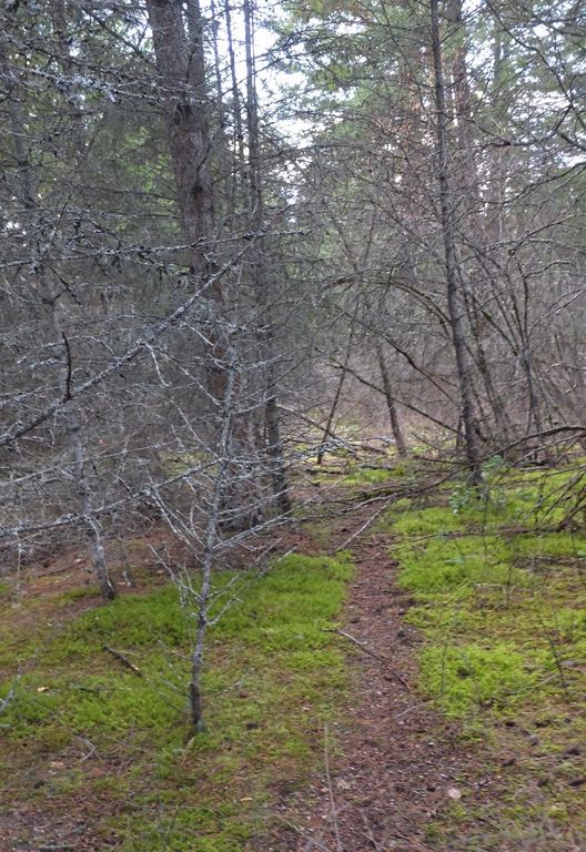 34781 Compass Lane, Polson, MT 59860 photo 77