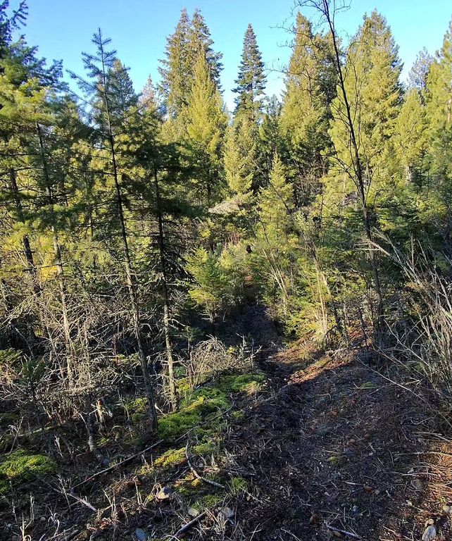 34781 Compass Lane, Polson, MT 59860 photo 82