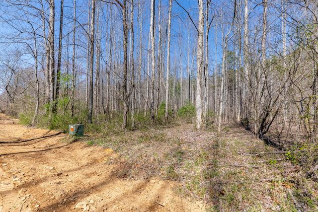 Lots 12+ Tusquittee Crossing, Hayesville, NC 28904