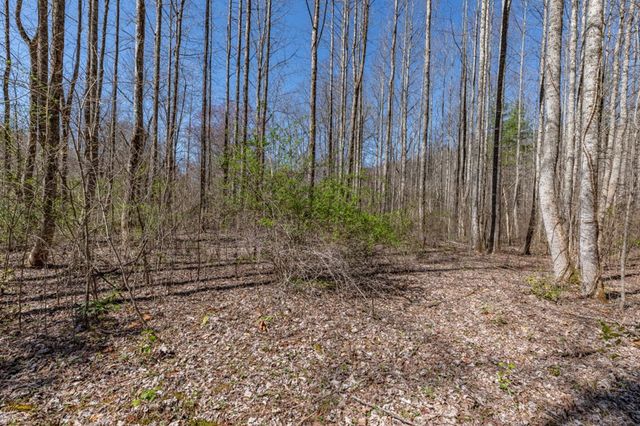 Lots 12+ Tusquittee Crossing, Hayesville, NC 28904