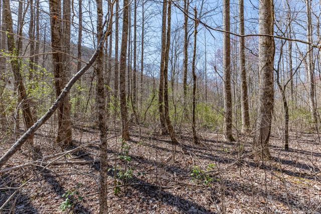 Lots 12+ Tusquittee Crossing, Hayesville, NC 28904