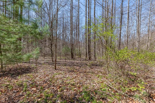 Lots 12+ Tusquittee Crossing, Hayesville, NC 28904
