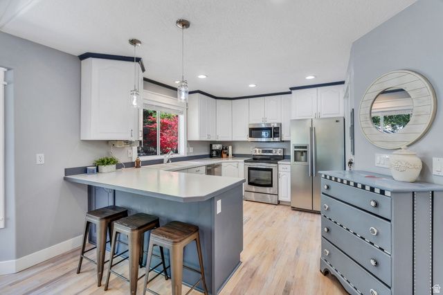 527 N 1180 E, Pleasant Grove, UT 84062