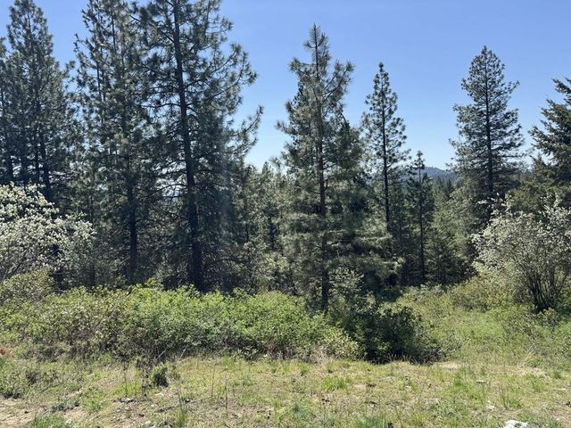 1372 Valley View Dr, Newport, WA 99156